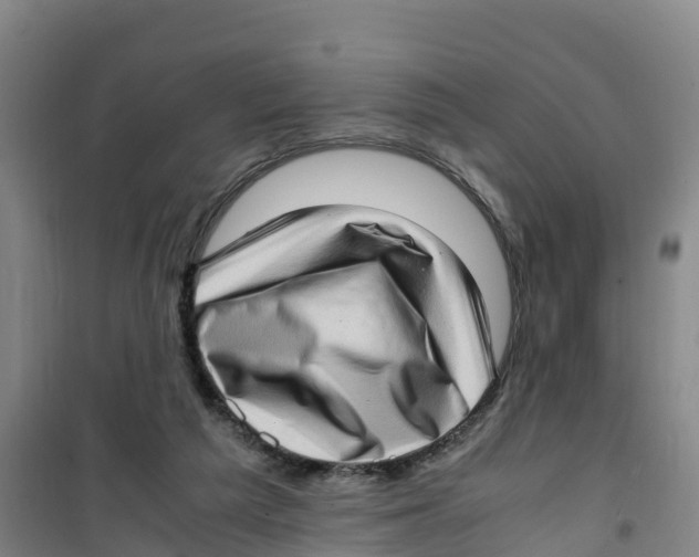 X0000100350209200807031821