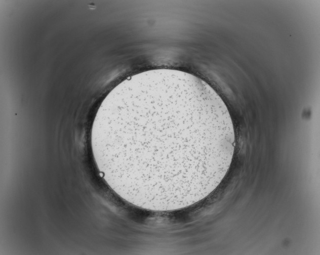 X0000100350211200807031821