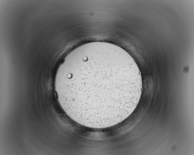 X0000100350212200807031821