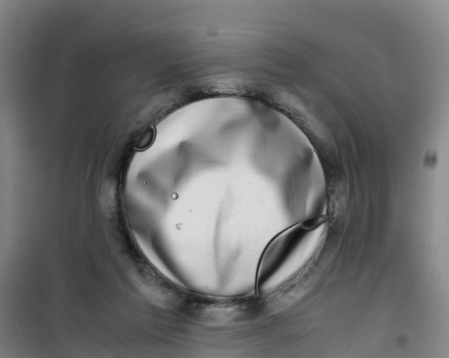 X0000100350213200807031821