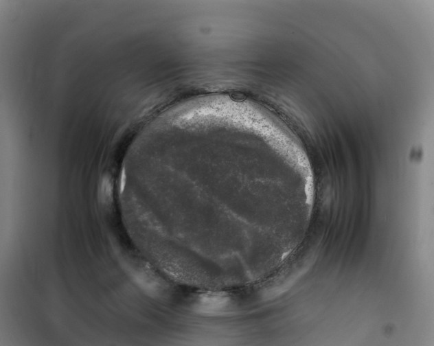 X0000100350214200807031821