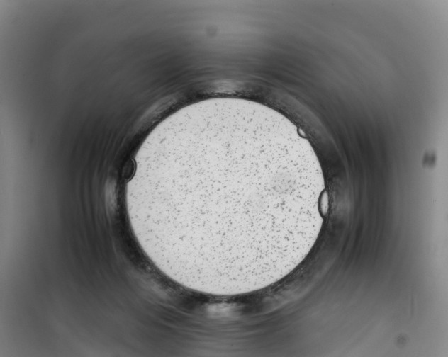 X0000100350216200807031821