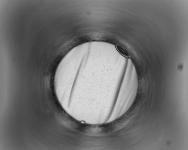 X0000100350217200807031821