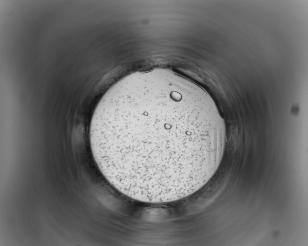 X0000100350220200807031821