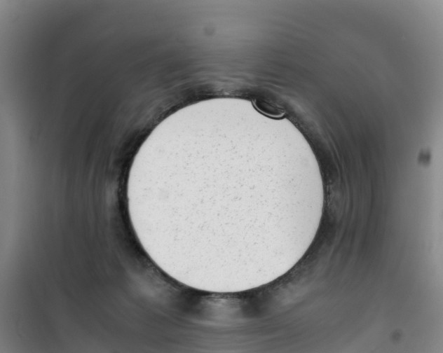 X0000100350221200807031821