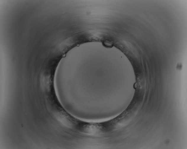 X0000100350223200807031821