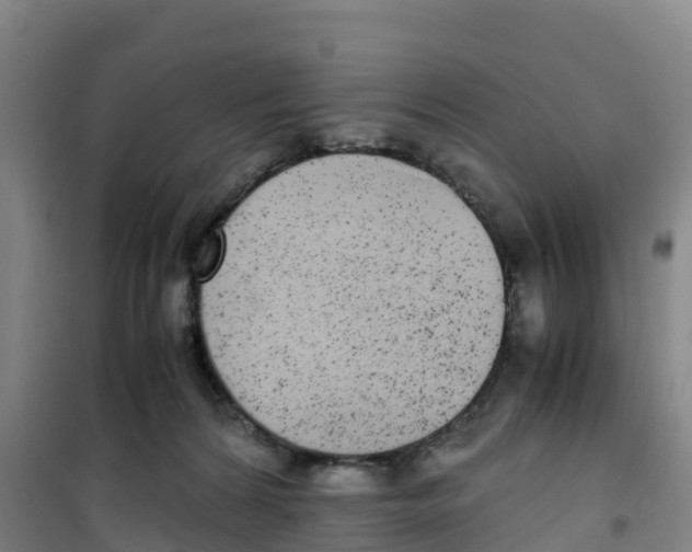 X0000100350224200807031821