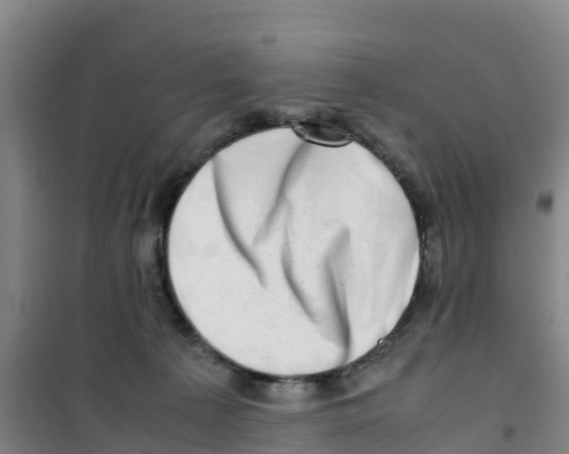 X0000100350225200807031821