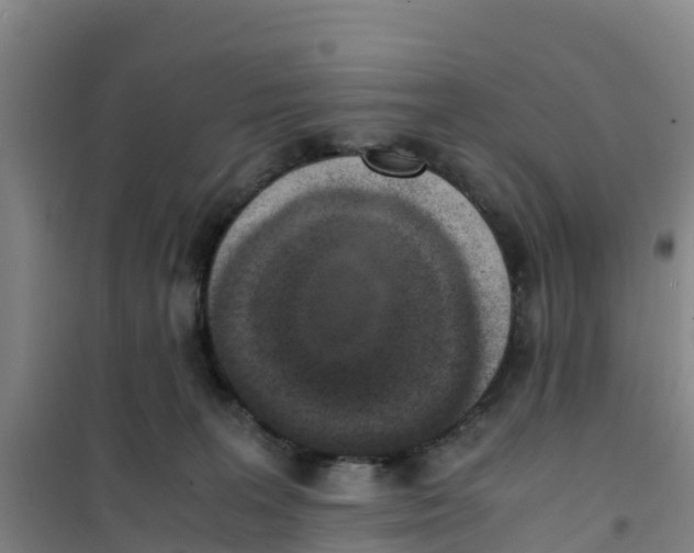 X0000100350227200807031821