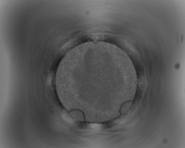 X0000100350233200807031821