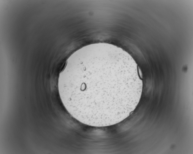 X0000100350236200807031821