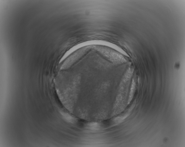 X0000100350237200807031821