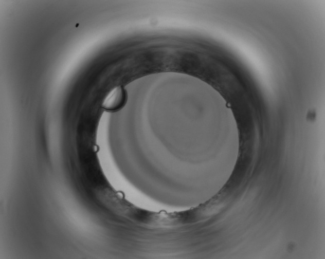 X0000100350239200807031821