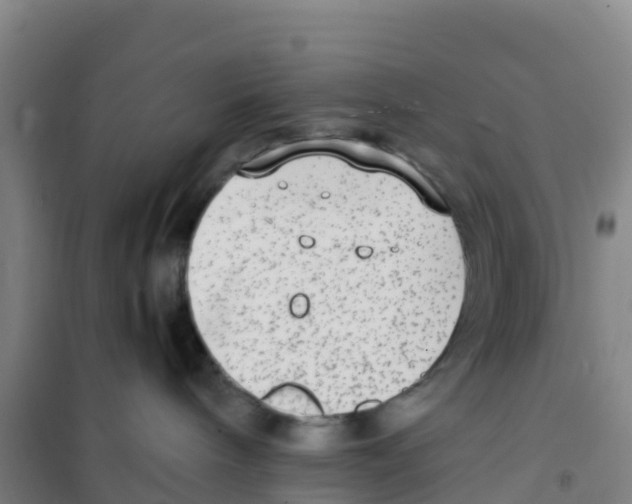 X0000100350240200807031821