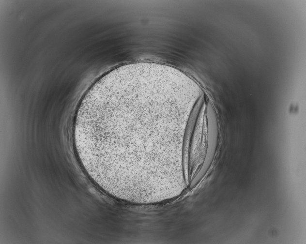 X0000100350241200807031820