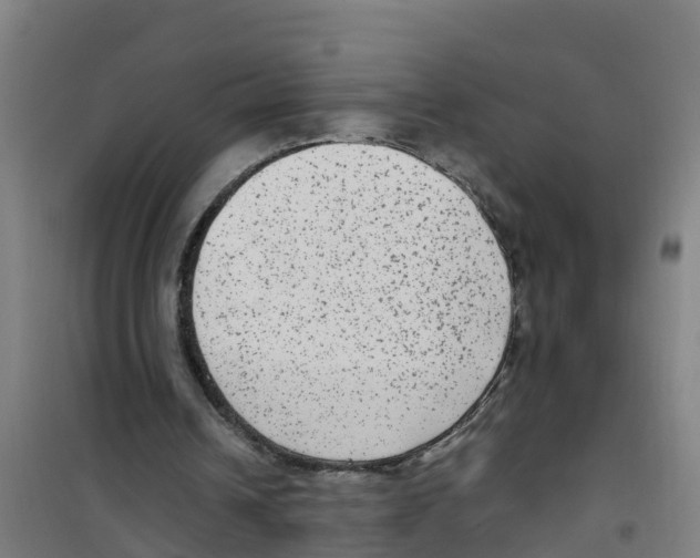 X0000100350242200807031820