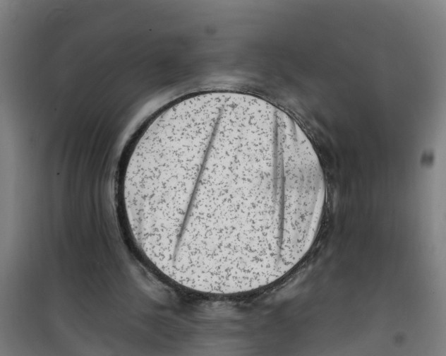 X0000100350244200807031820