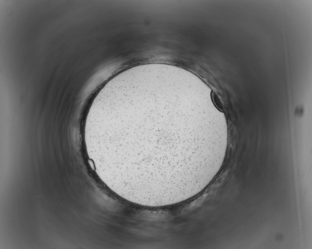 X0000100350245200807031820