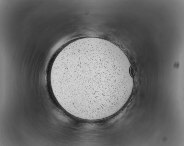 X0000100350246200807031820