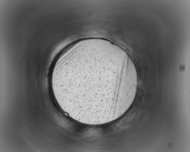 X0000100350248200807031820