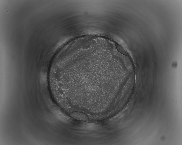 X0000100350249200807031820