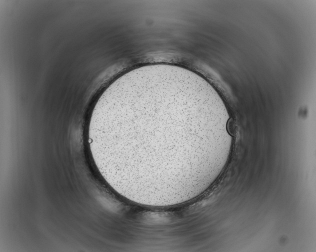 X0000100350250200807031820