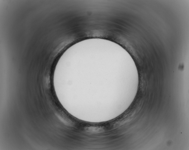 X0000100350251200807031820