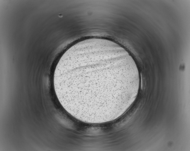 X0000100350252200807031821