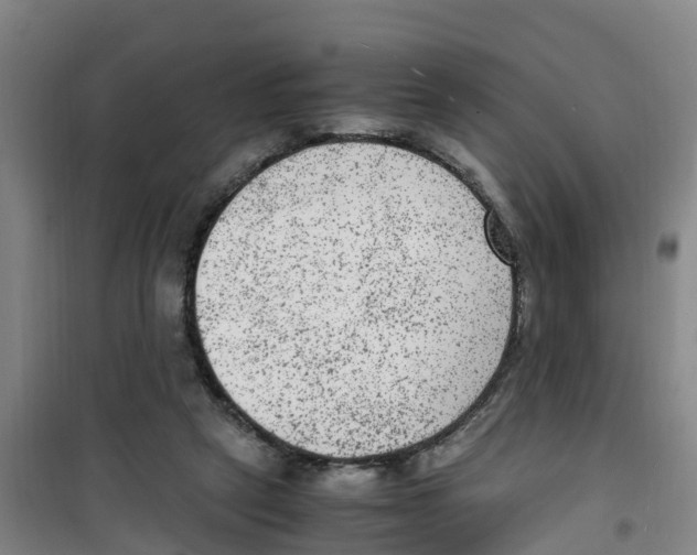 X0000100350257200807031821