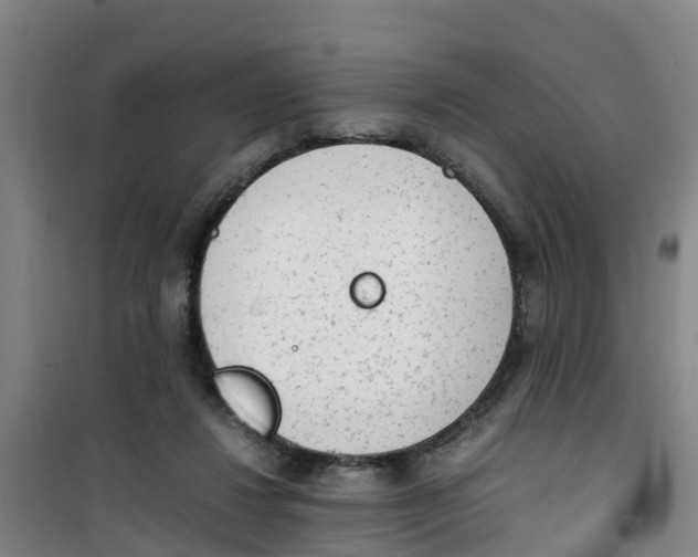 X0000100350260200807031821