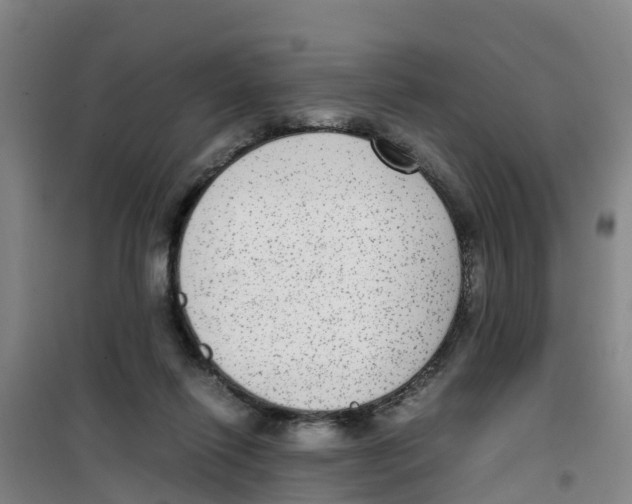 X0000100350262200807031821