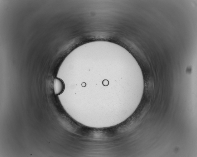 X0000100350264200807031821