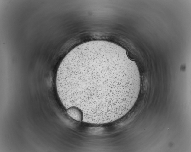 X0000100350266200807031821