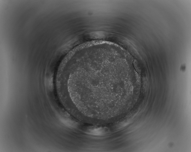 X0000100350267200807031821