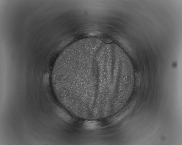 X0000100350269200807031821