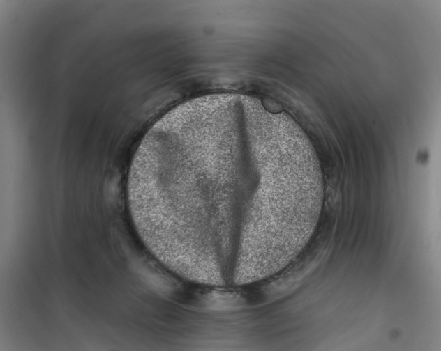 X0000100350270200807031821