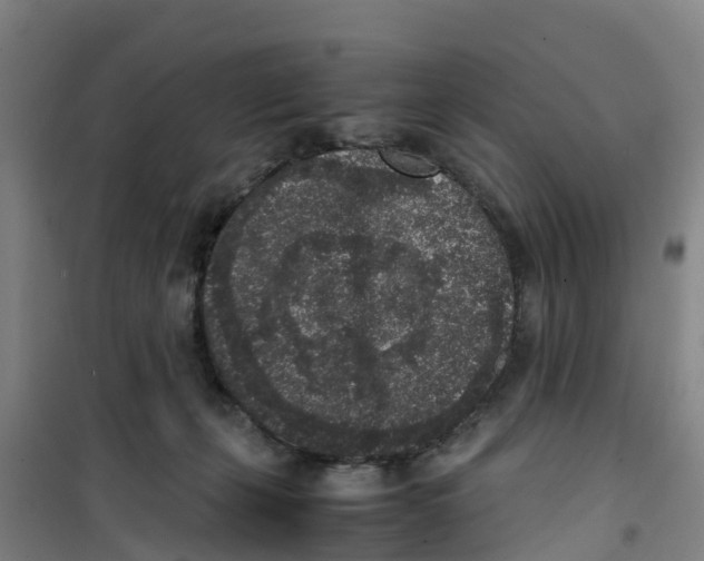 X0000100350271200807031821