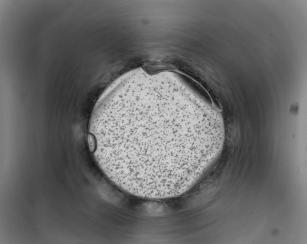 X0000100350272200807031821