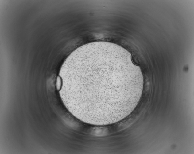 X0000100350275200807031821