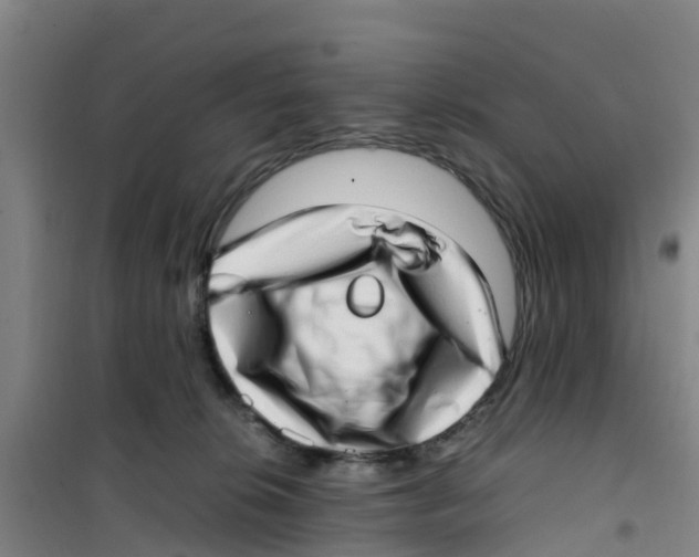 X0000100350276200807031821