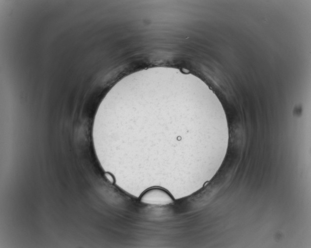 X0000100350280200807031821