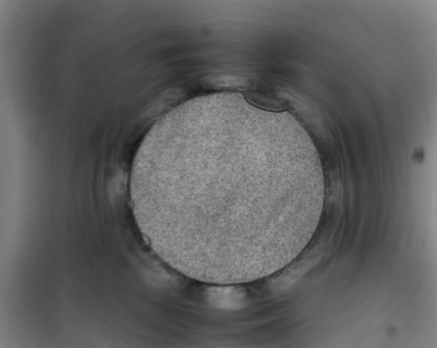 X0000100350281200807031821