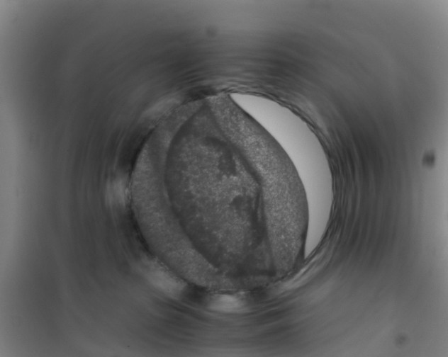 X0000100350285200807031821