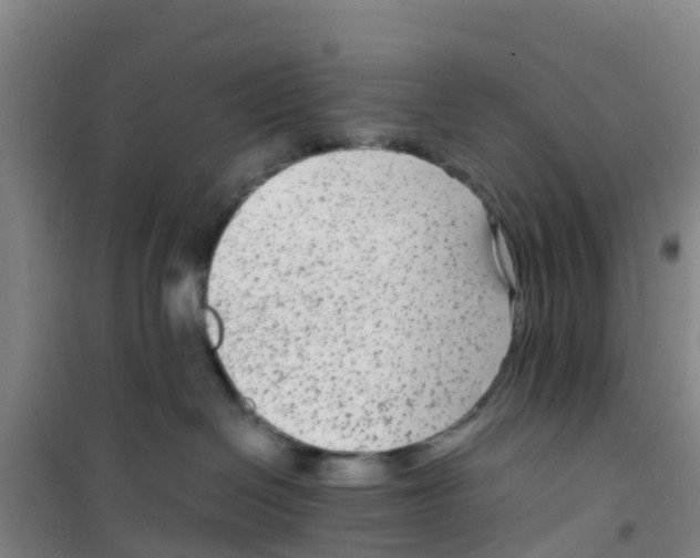 X0000100350286200807031821