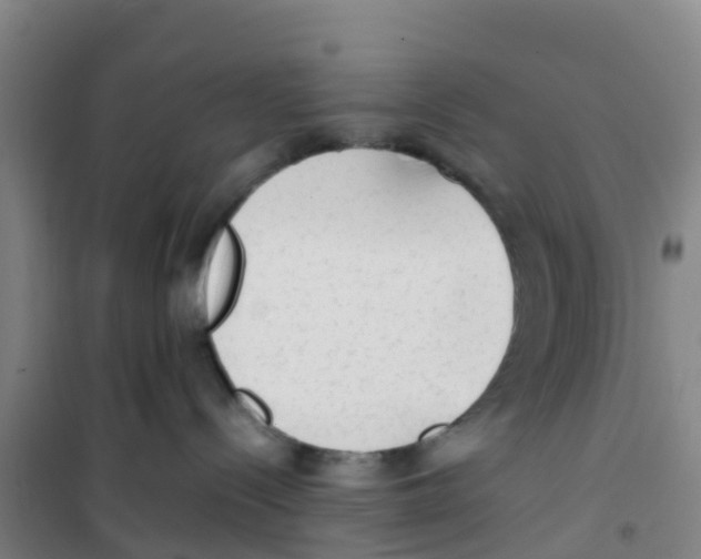 X0000100350288200807031821