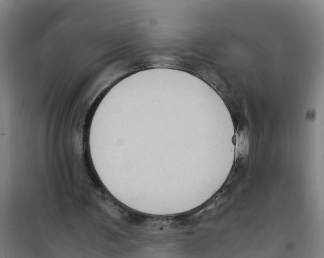 X0000100350291200807031820