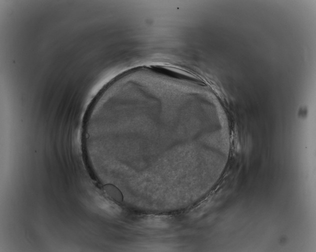 X0000100350292200807031820