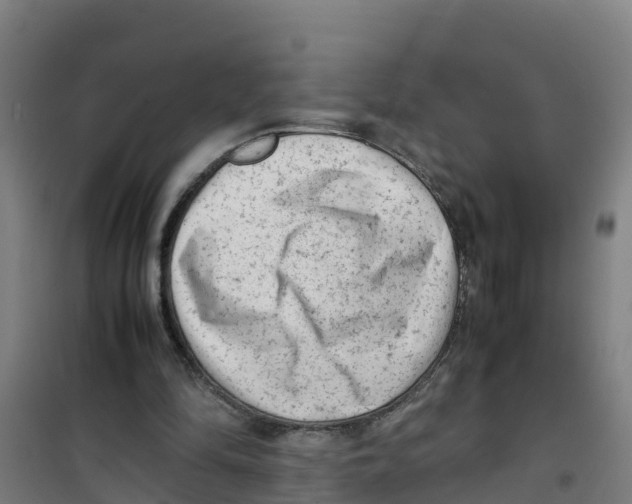 X0000100350294200807031820