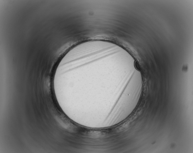 X0000100350298200807031820