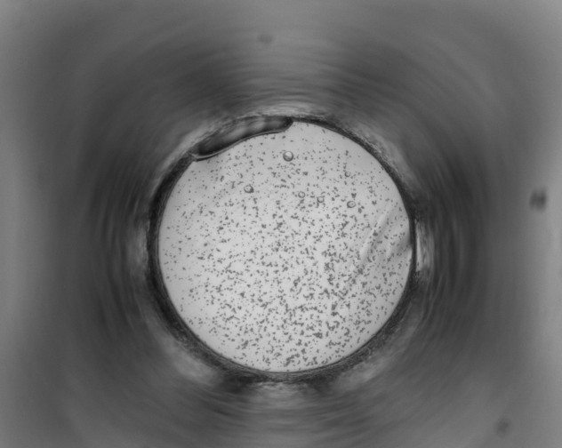 X0000100350300200807031820